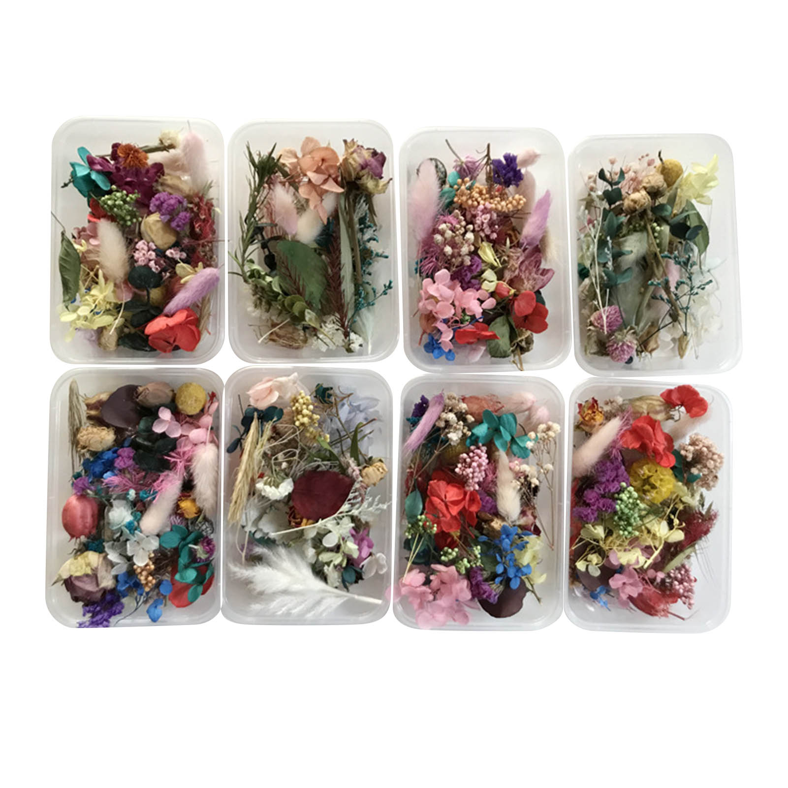 Natural Dried Flower Kit Press - Dried Herbs review and price