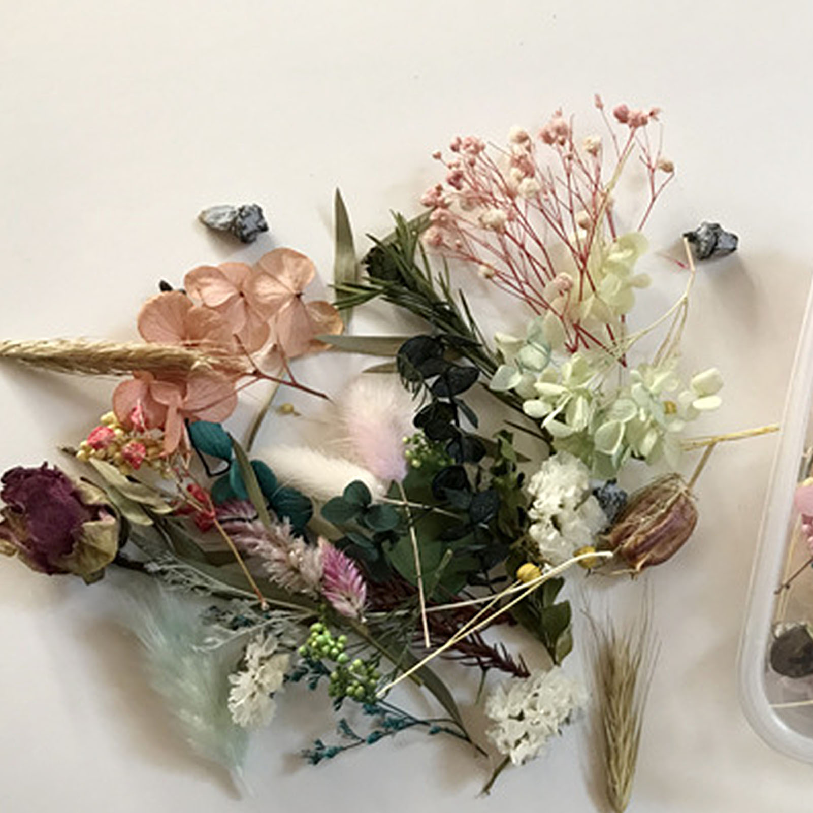 Natural Dried Flower Kit Press - Dried Herbs review and price