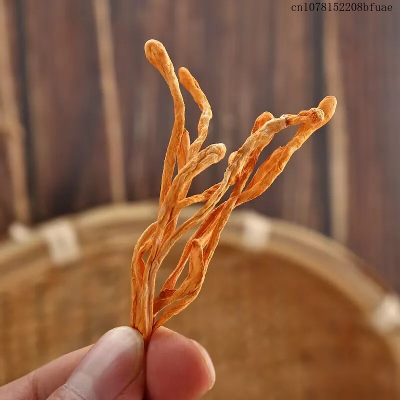 250g/500g Dried Cordyceps Flow - Dried Herbs review and price