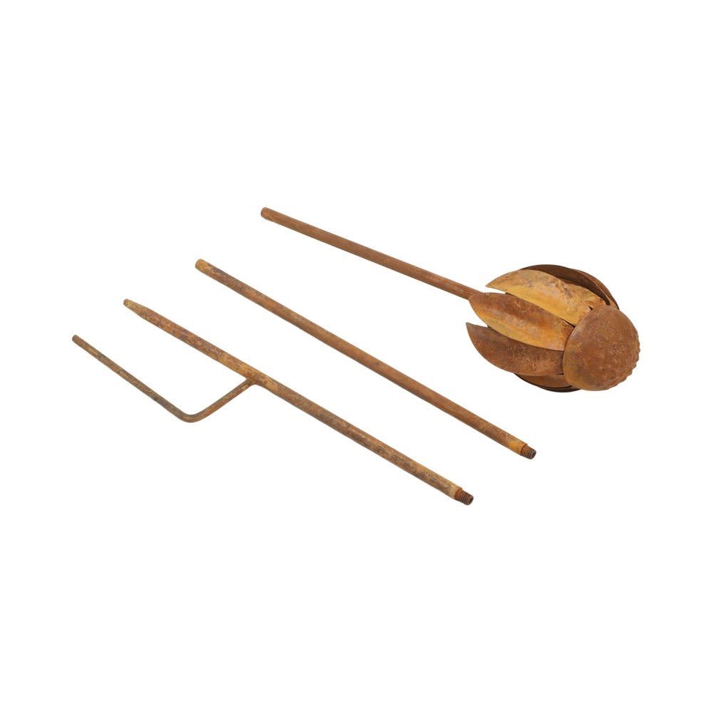 Metal Garden Stake Featuring E - Echinacea review and price