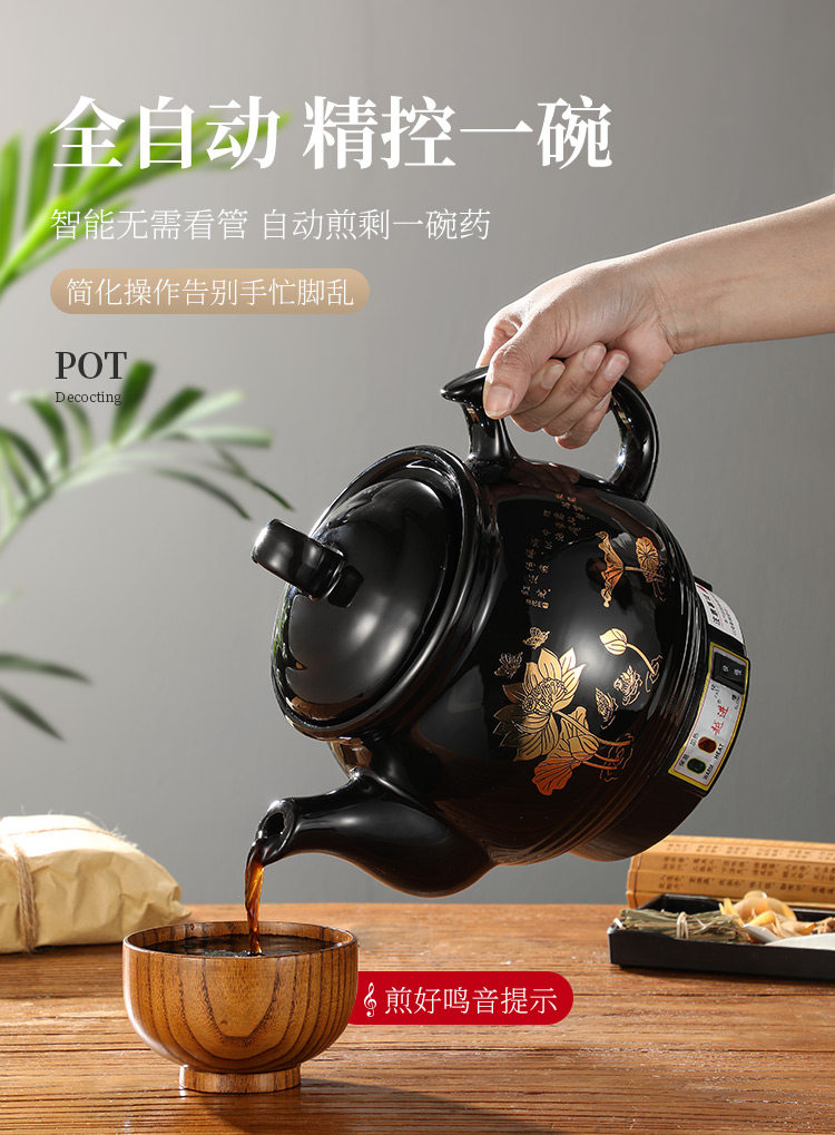 220V Automatic Herbal Tea Pot  - Herbal Tea review and price