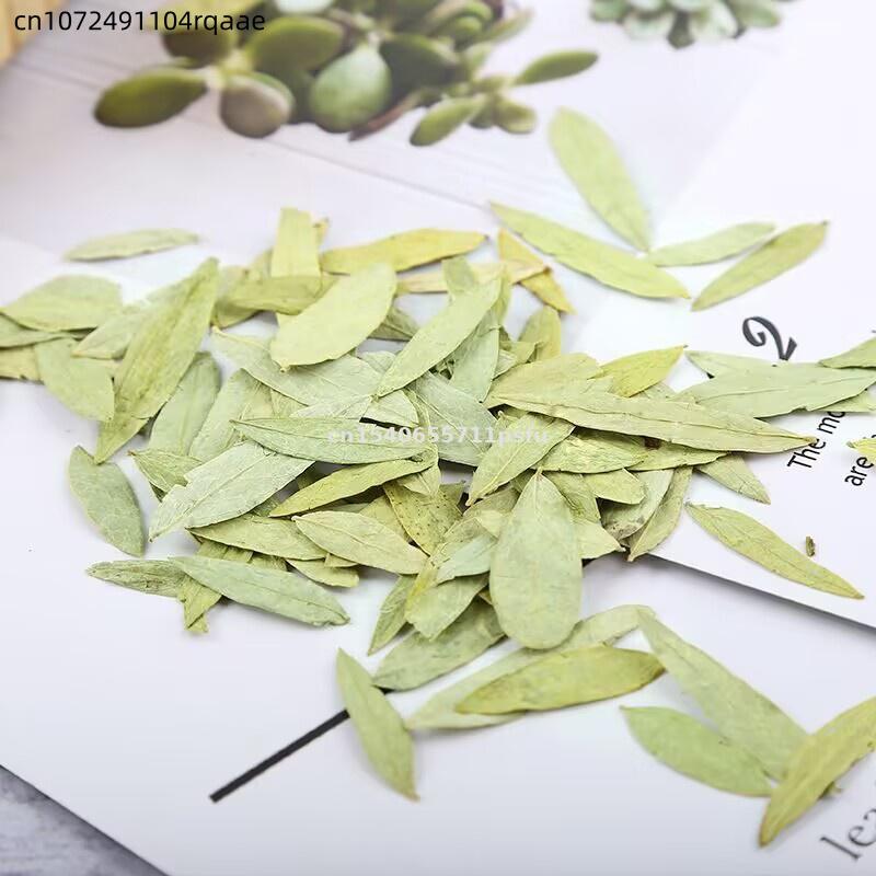 Premium Organic Senna Leaves & - Dried Herbs review and price